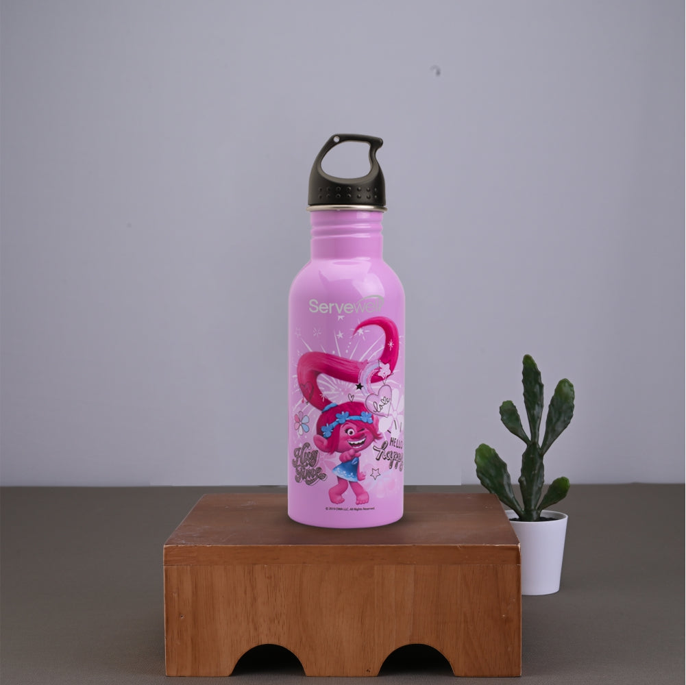 Mischief SS Single Wall Bottle 580 ml - Trolls