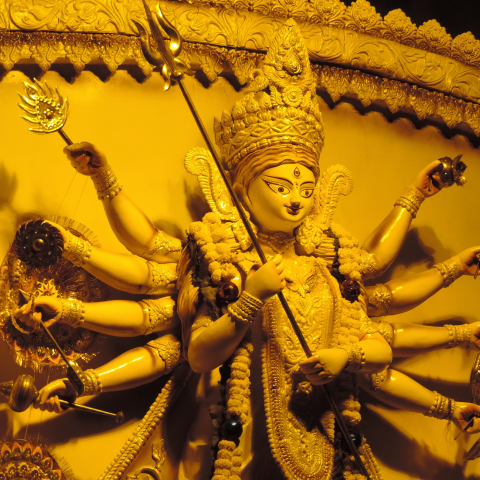 9 different goddesses are worshipped during the 9 days of Navratri