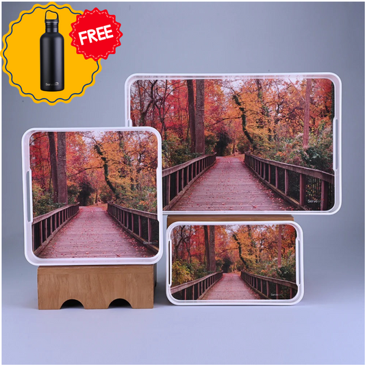 3 pc Tray Set Splendor - New Forest