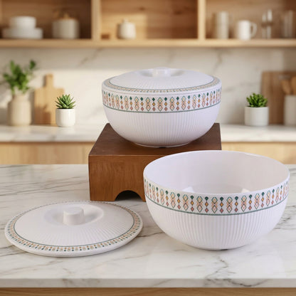 31 pc Dinner Set Canopy - Interlock