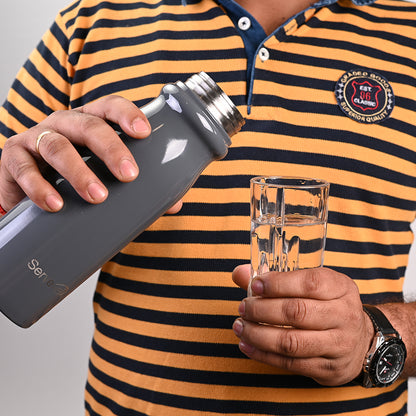 Hudson Steel Fridge Bottles Grey