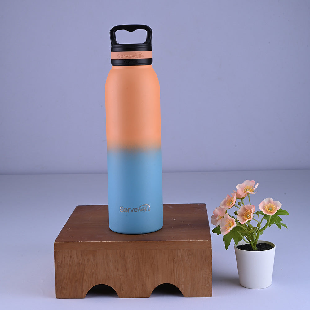Oslo Pro Vacuum Bottle 720 ml - 2 Tone POrgBlu