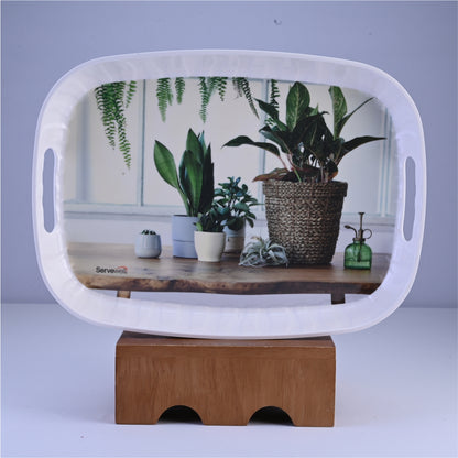 3 pc Tray Set Zebra - Greenery