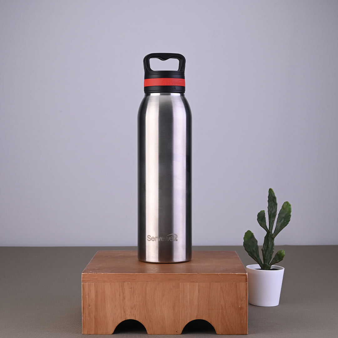 Oslo Vacuum Bottles Steel