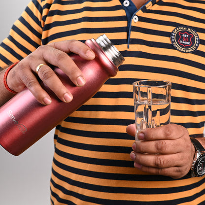 Hudson Steel Fridge Bottles